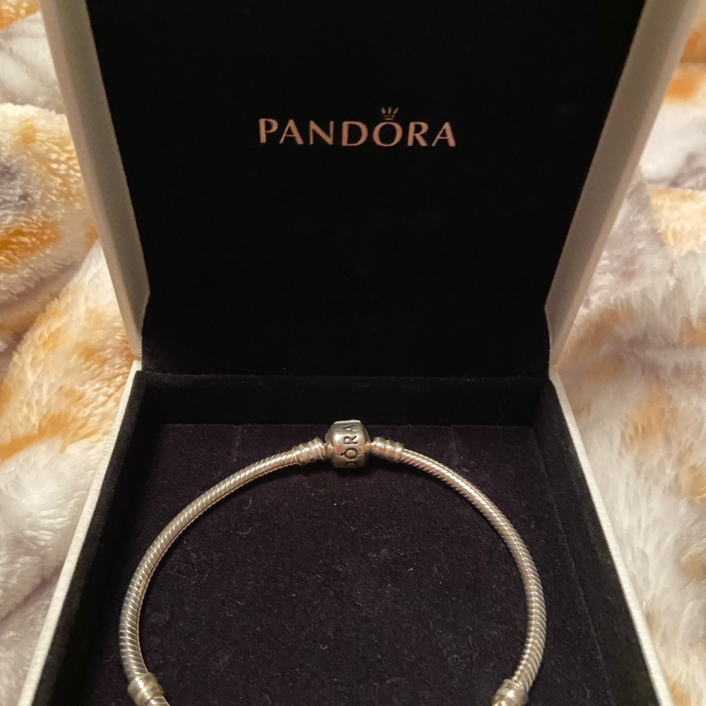 Pandora bracelets and charms